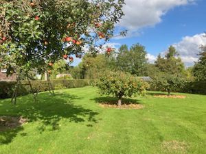 Photo 29- click for photo gallery